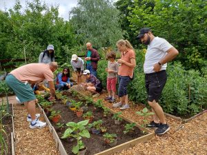 community garden